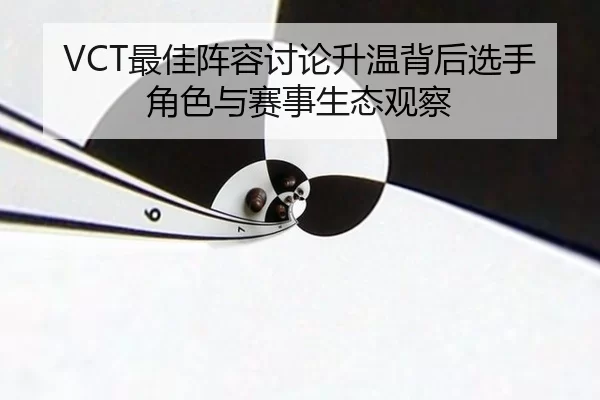 VCT最佳阵容讨论升温背后选手角色与赛事生态观察